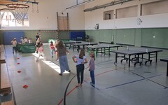 Neues Tischtennis Angebot für Mädchen in Geisenheim Johannisberg