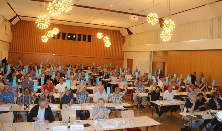 Die Delegierten bei der Abstimmung.